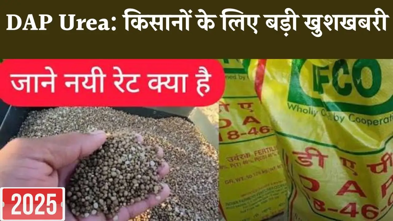 DAP Urea