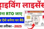 Driving Licence