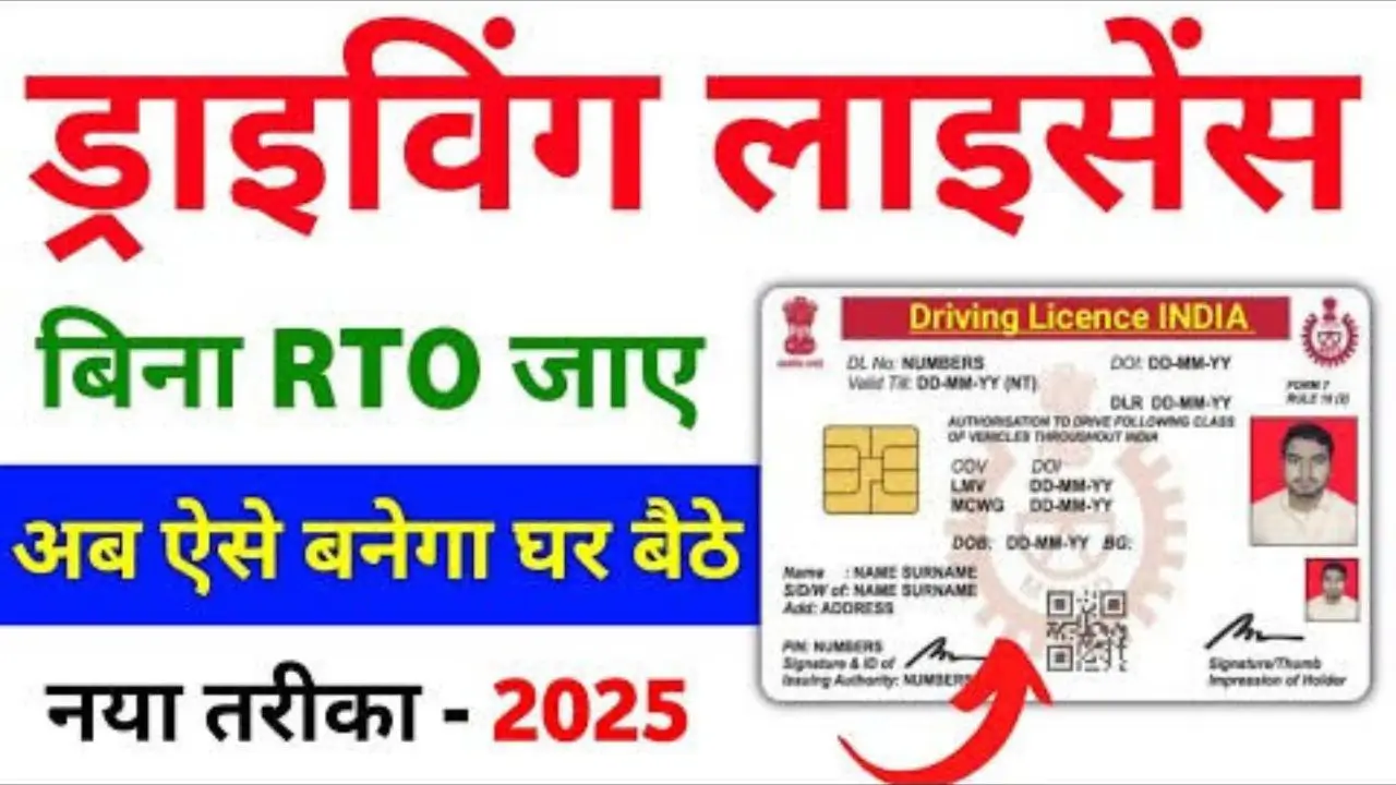 Driving Licence